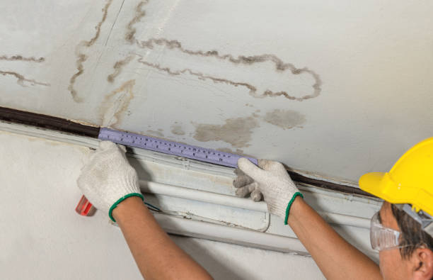 Reliable Burst Pipe Cleanup contractor in Bristol, FL by Water Damage Irwin